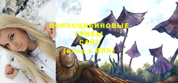тгк Армянск